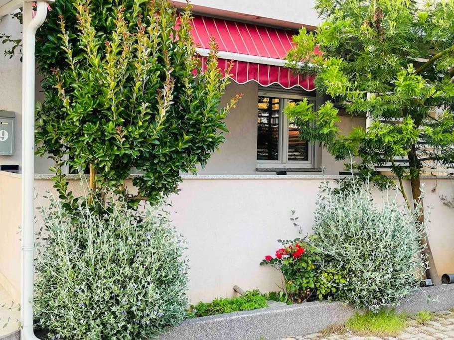 Ferienwohnung Mima Pula Exterior foto